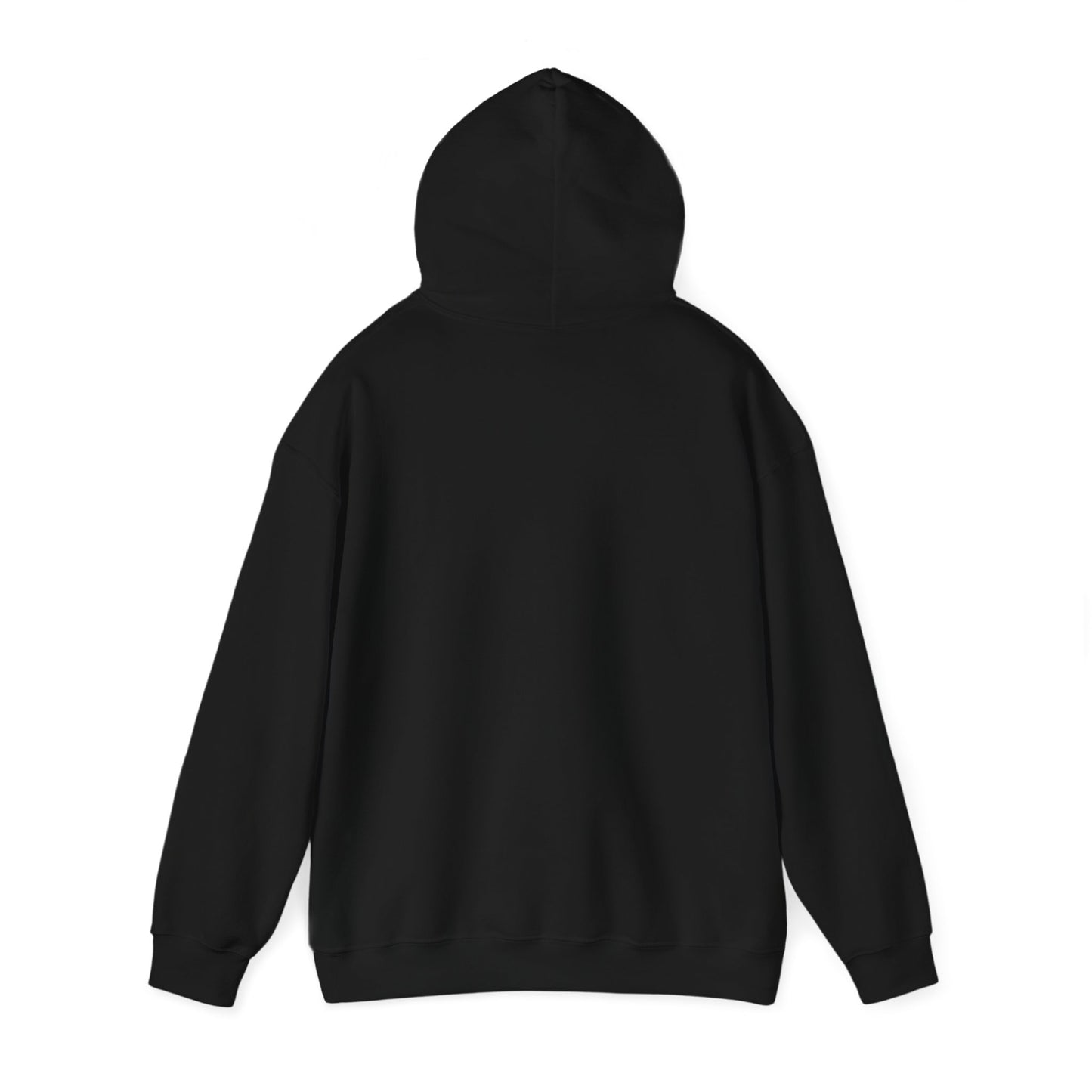 no rizz left behind hoodie