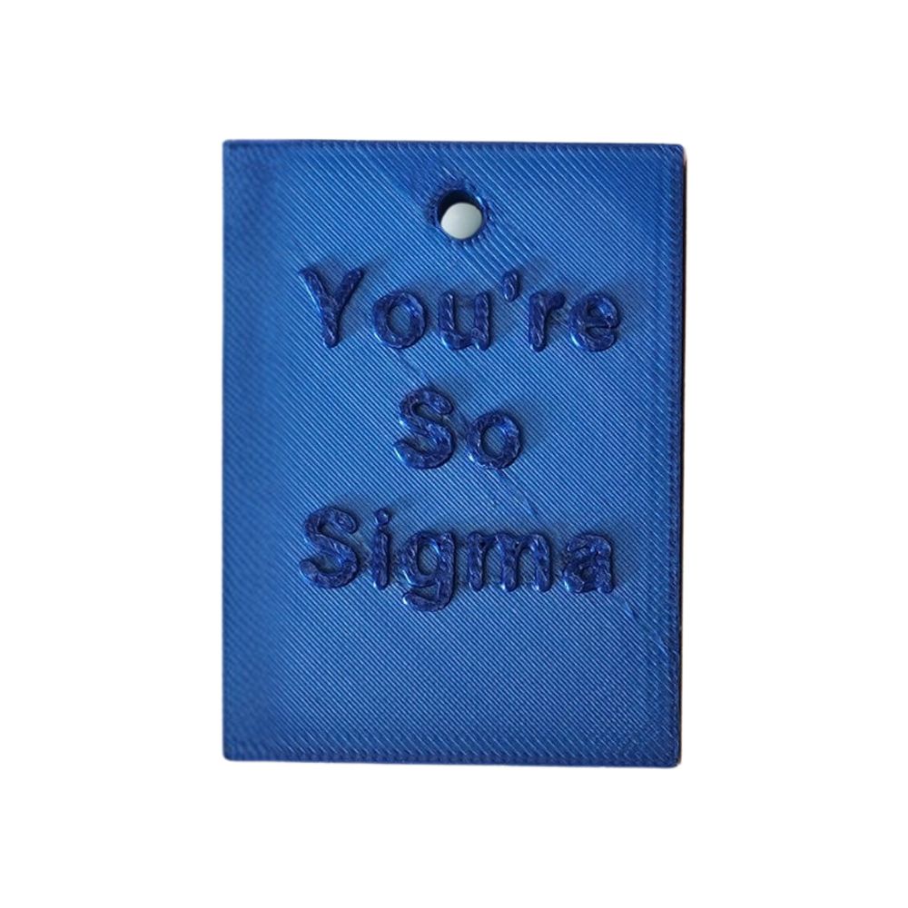 you're so sigma keychain - bold motivational accessory