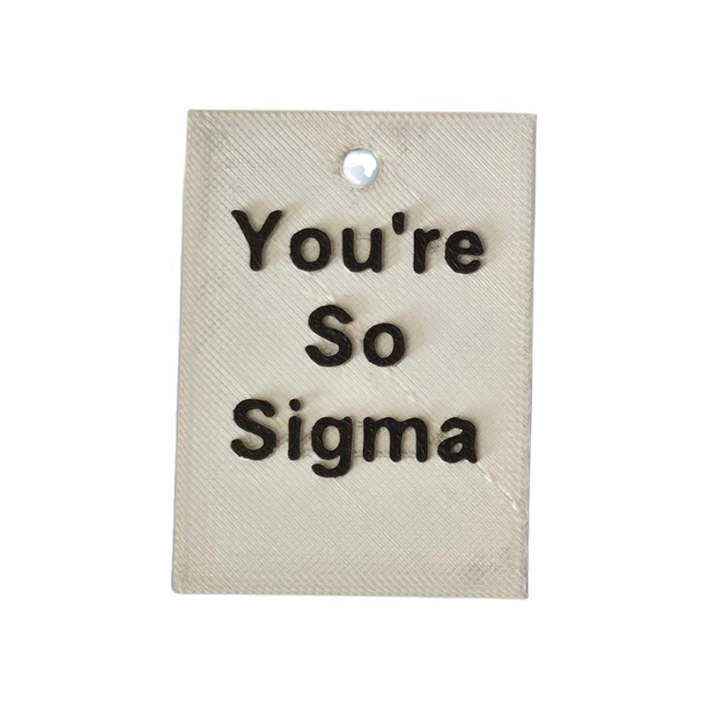 you're so sigma keychain - bold motivational accessory