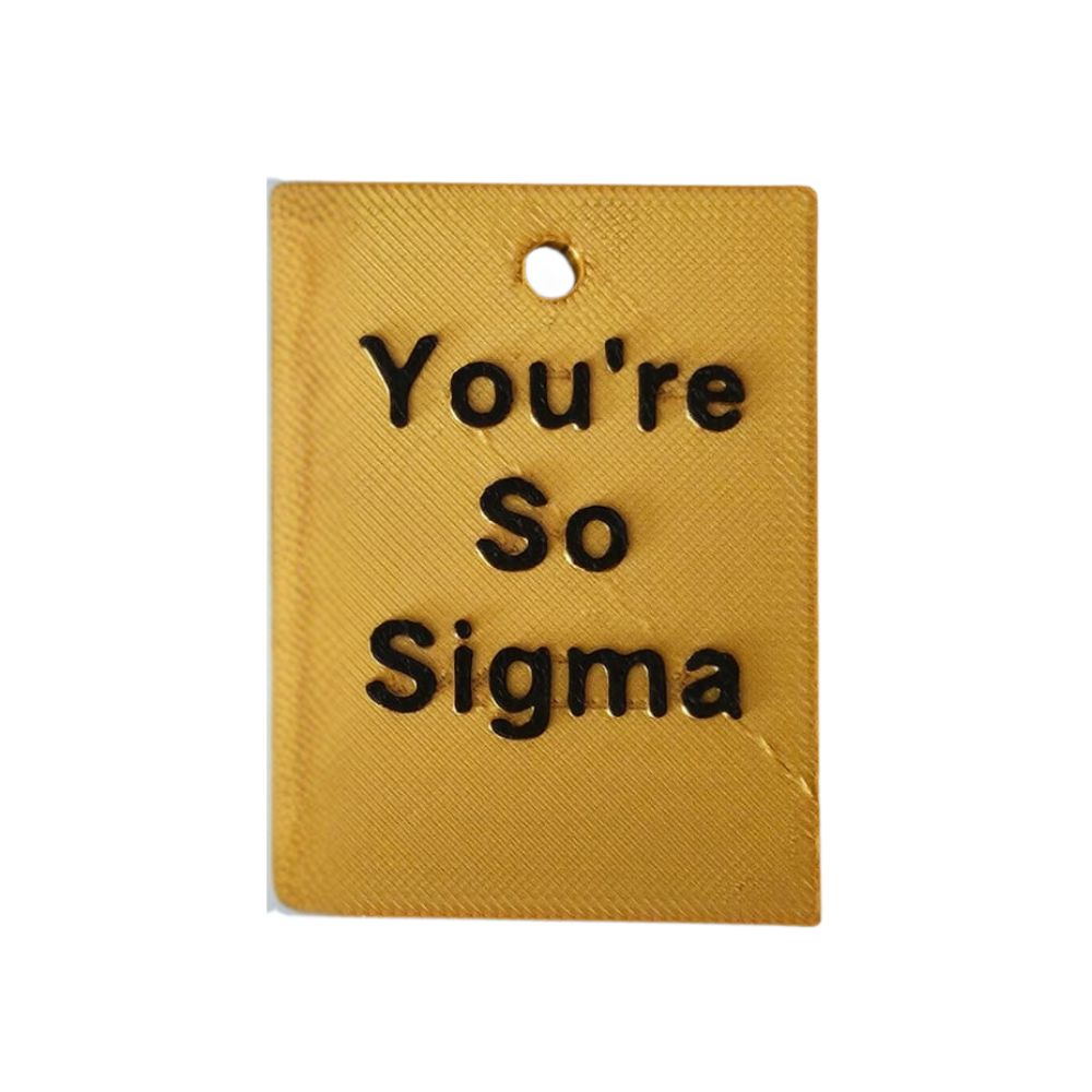 you're so sigma keychain - bold motivational accessory