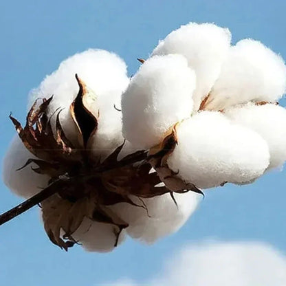 Skibidi 67 Black Hooded Sports Hoodie