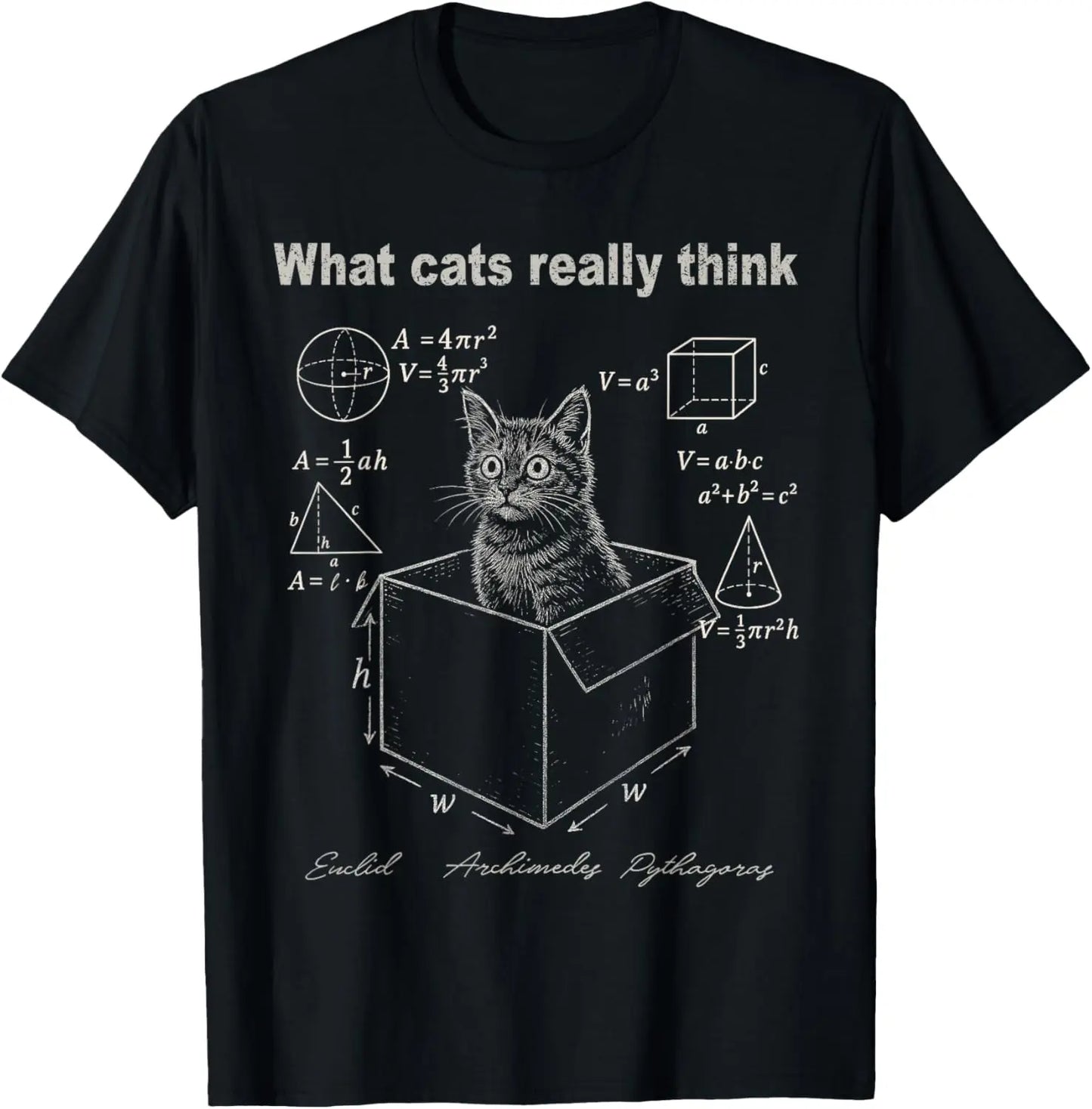 cat in box maths humour t-shirt for kids