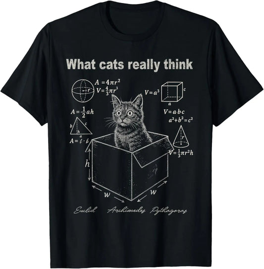 Cat in Box Maths Humour T-Shirt for Kids