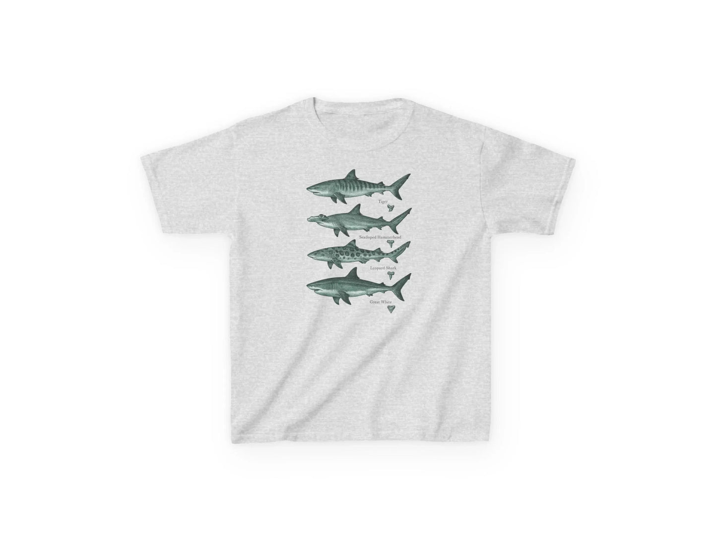 shark species t-shirt for kids