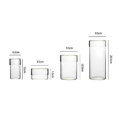 Micro Landscape Moss Terrarium in Glass Cylinder