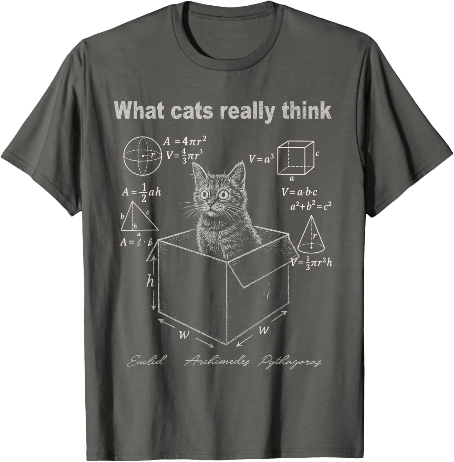 cat in box maths humour t-shirt for kids