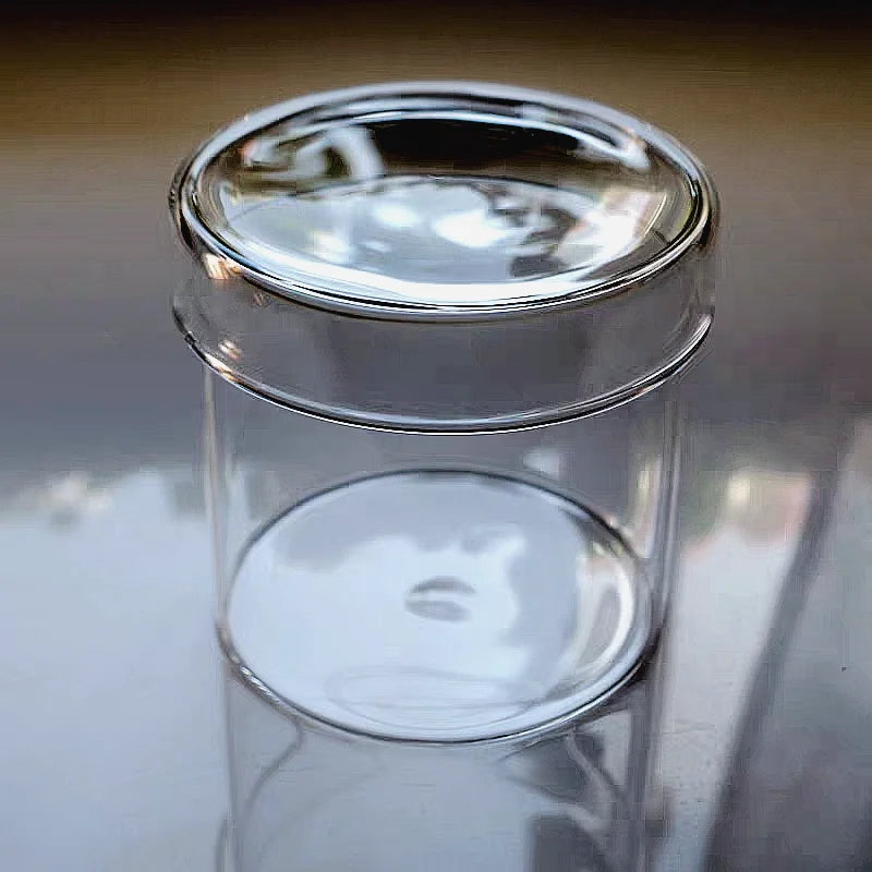 micro landscape moss terrarium in glass cylinder