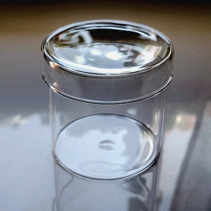 Micro Landscape Moss Terrarium in Glass Cylinder