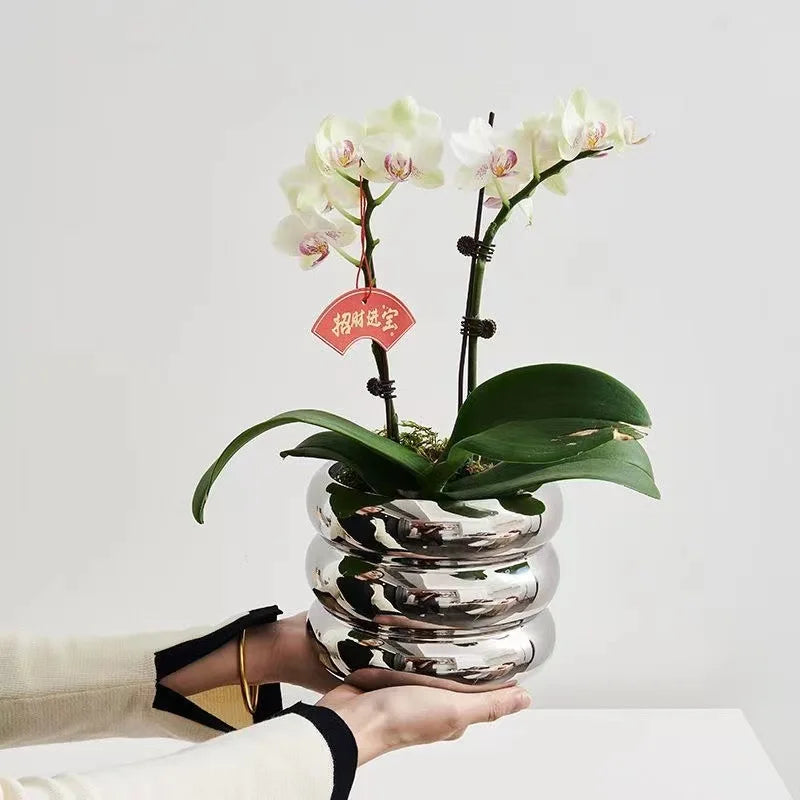 modern ceramic flowerpot for kids' room decor