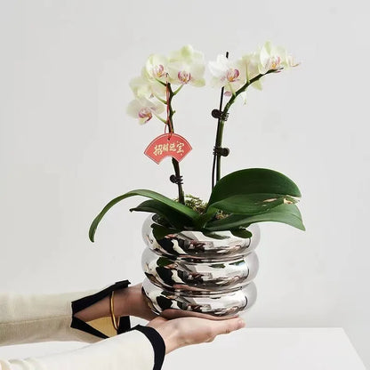 Modern Ceramic Flowerpot for Kids' Room Decor