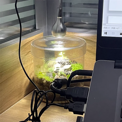 Micro Landscape Moss Terrarium in Glass Cylinder