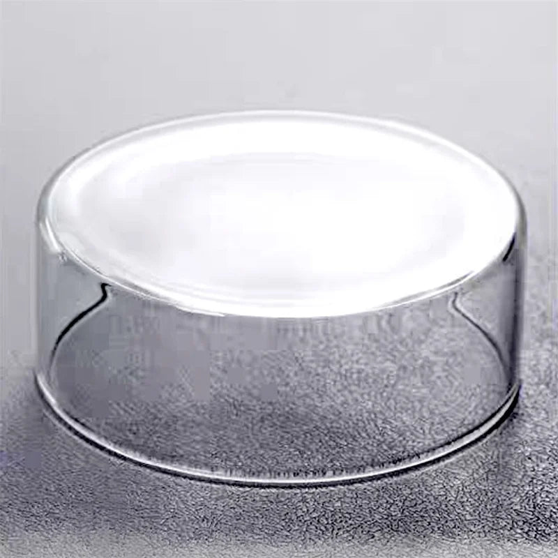 micro landscape moss terrarium in glass cylinder