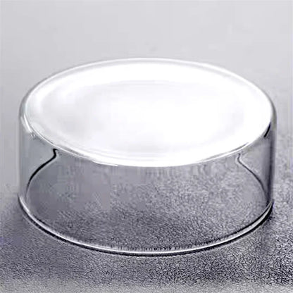 Micro Landscape Moss Terrarium in Glass Cylinder