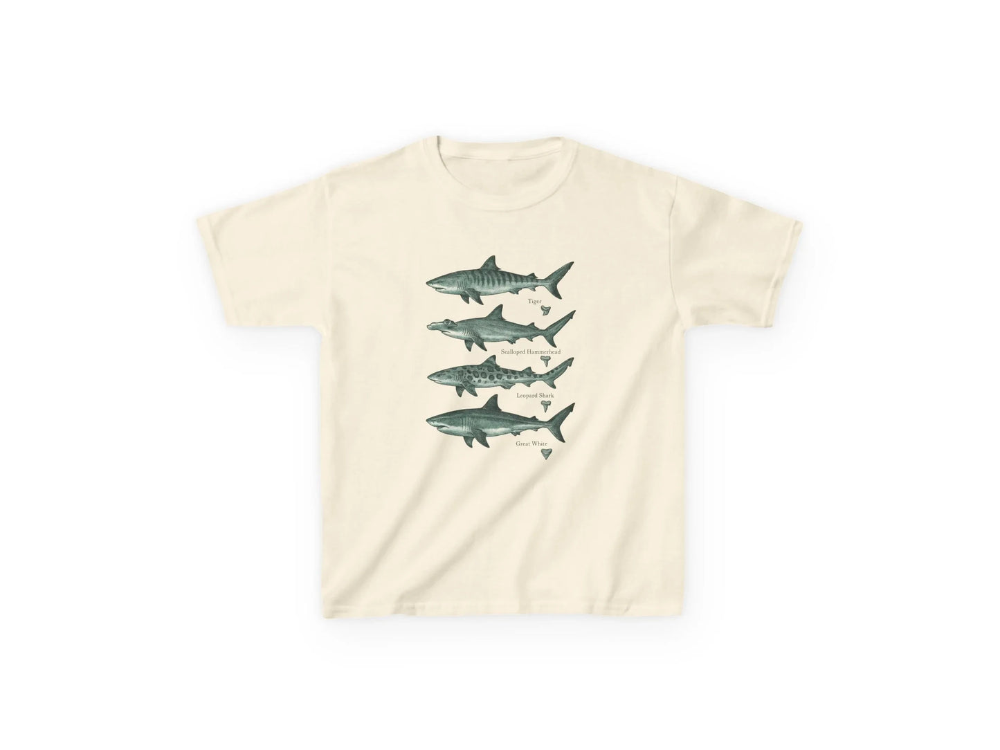 shark species t-shirt for kids