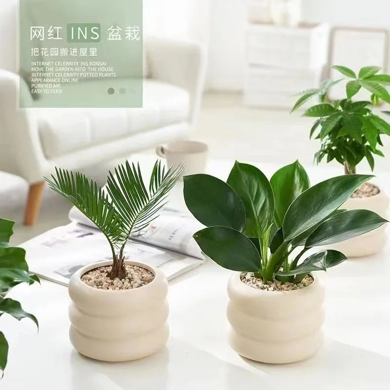 modern ceramic flowerpot for kids' room decor
