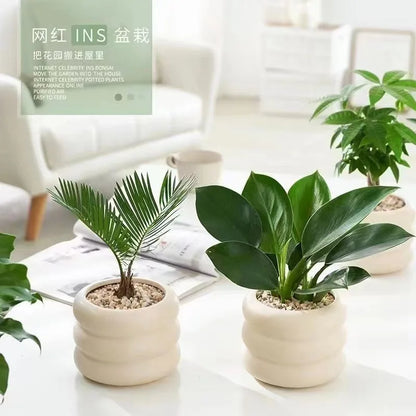 Modern Ceramic Flowerpot for Kids' Room Decor